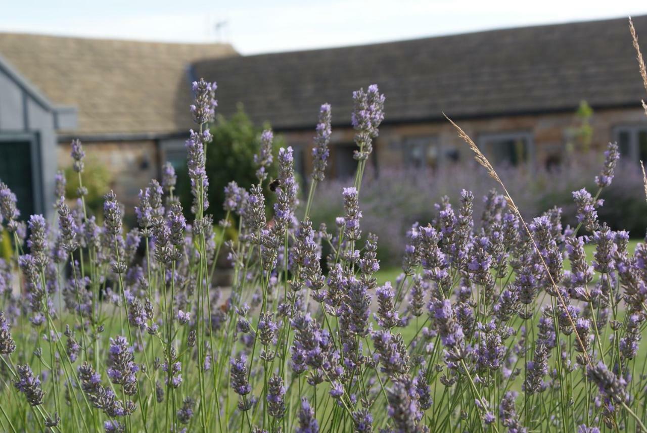 Harrogate Barns Βίλα Εξωτερικό φωτογραφία
